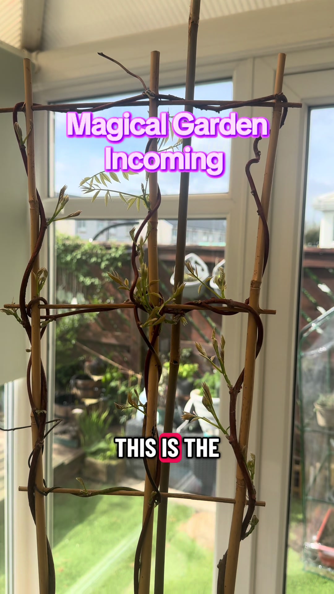 @ash - onlyplants 🌸