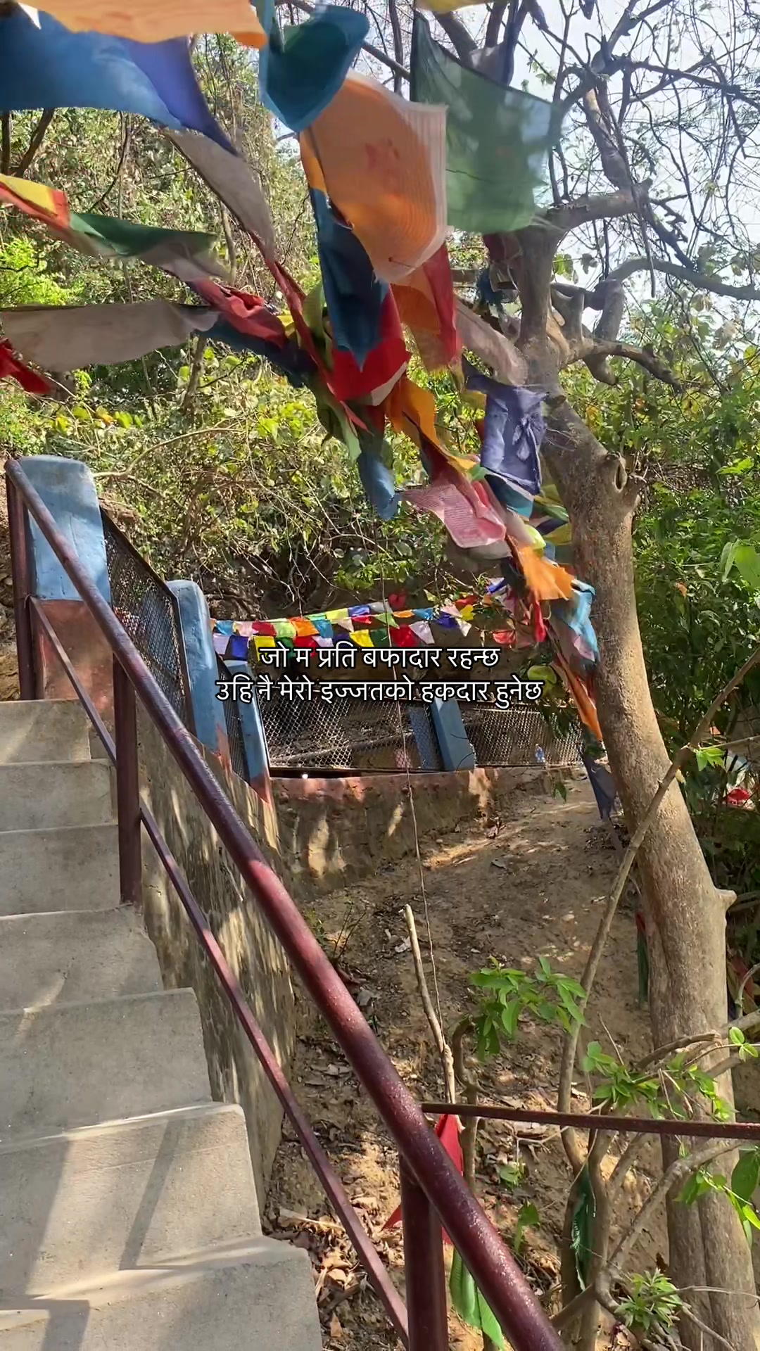 @๐ธ