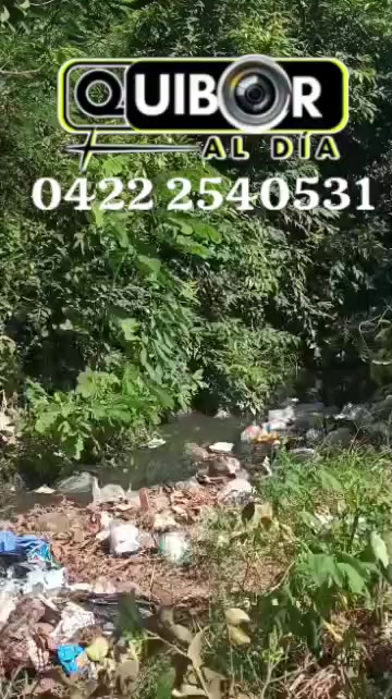 @Quiboraldia