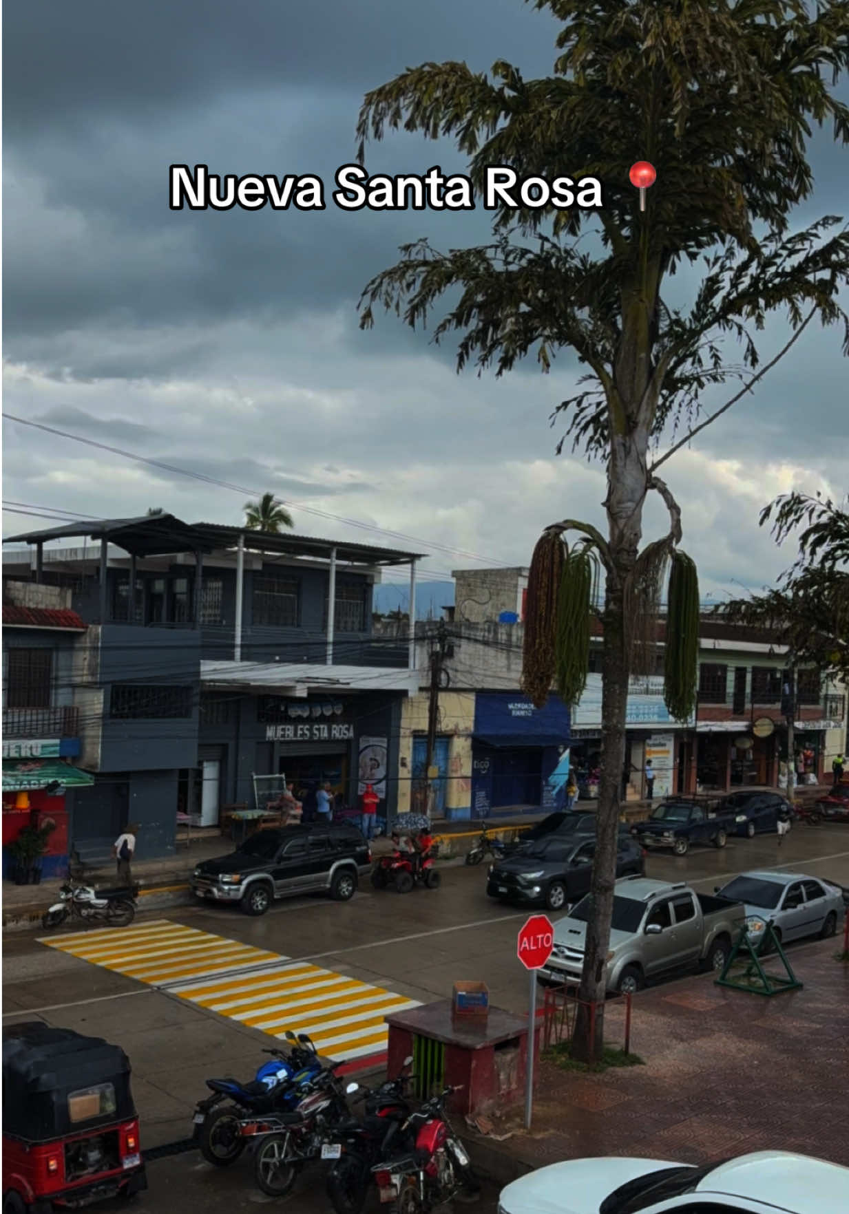 @Soy_Nesh.Canela