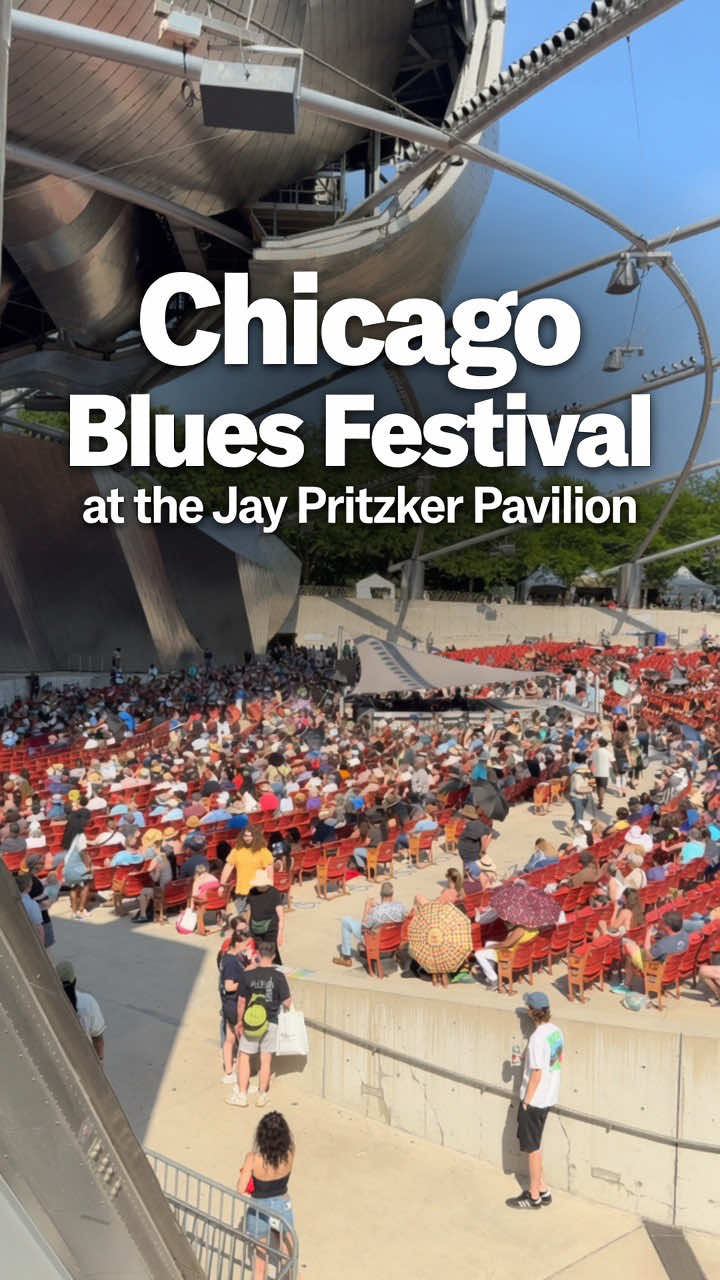 @Chicago Shining