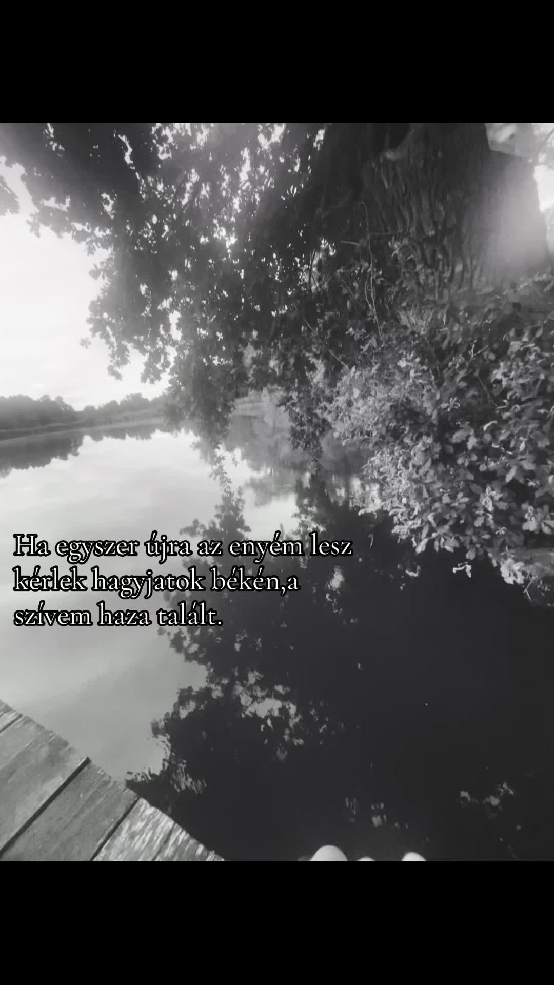 @🦦