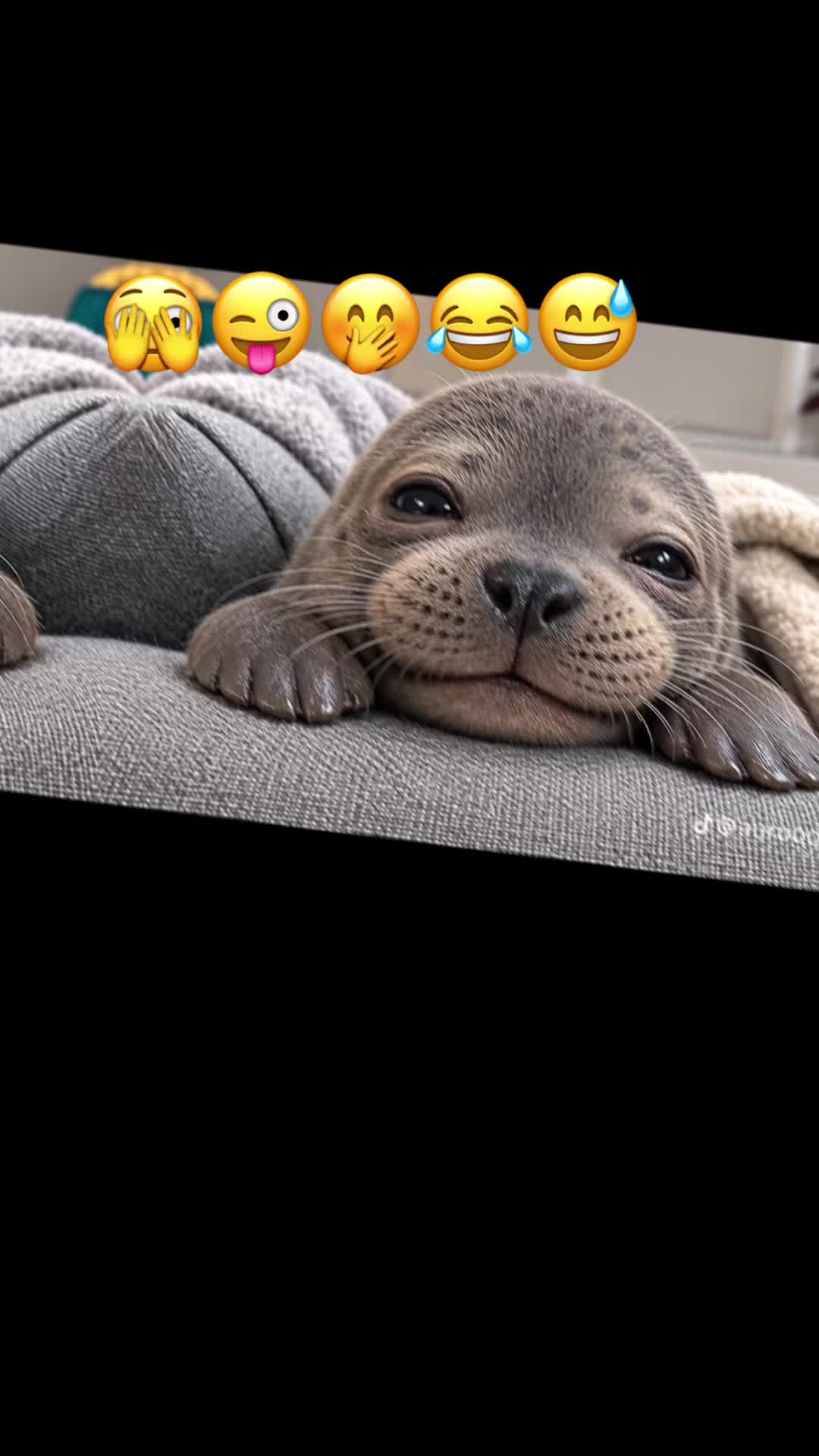 @Csill777
