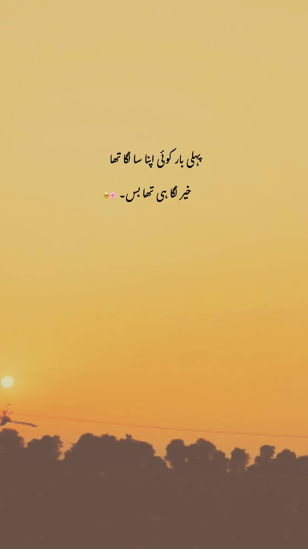 @𓆩♡𓆪