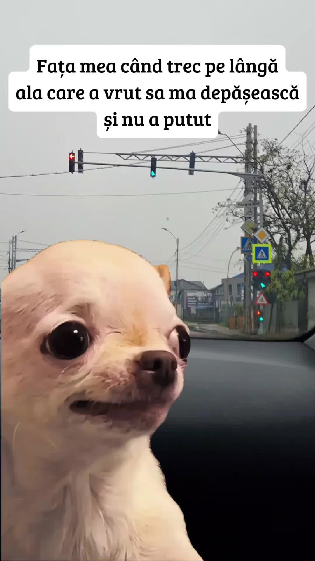 @Raluca