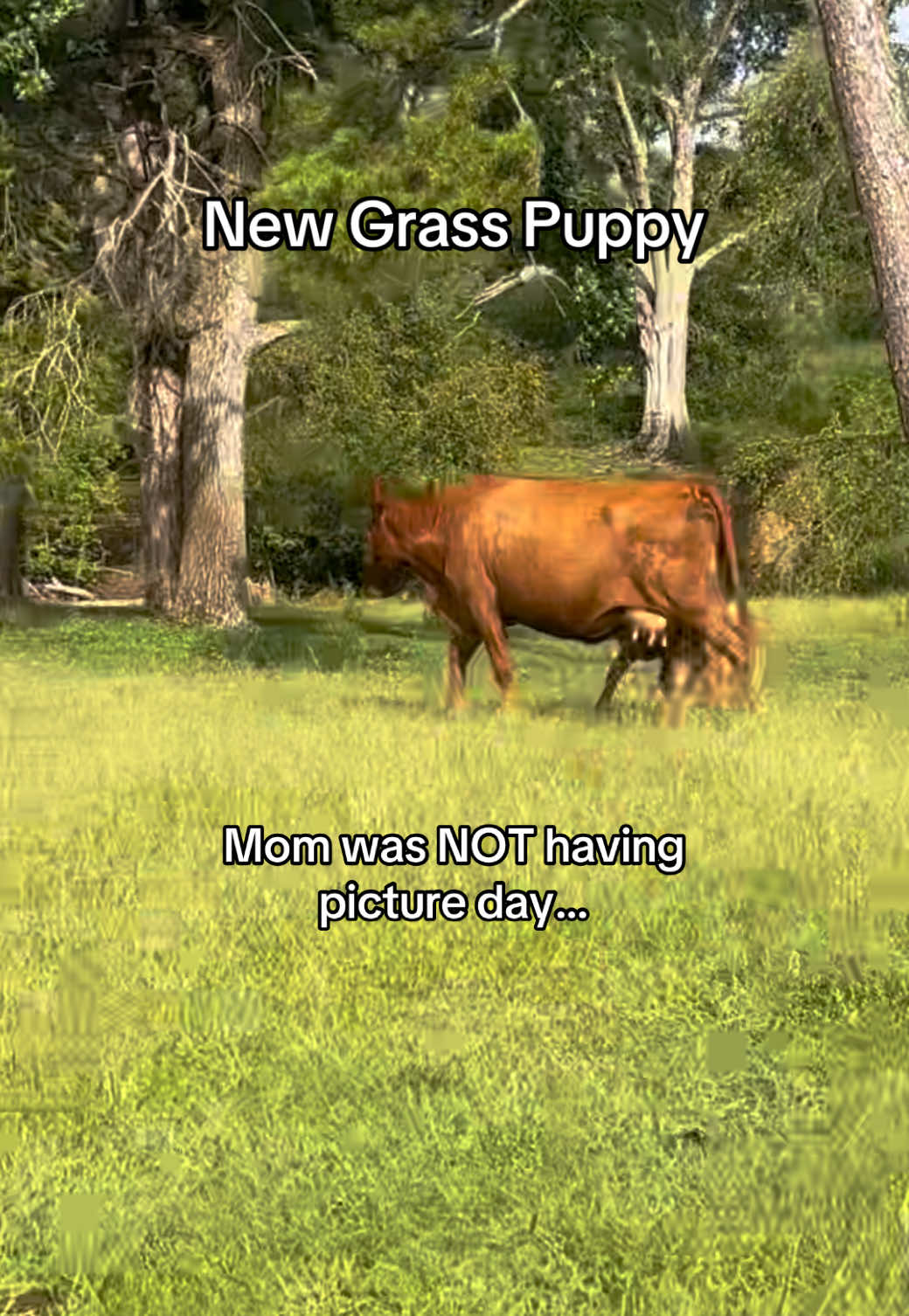@Kristie_the_Pi🥉🐮❌