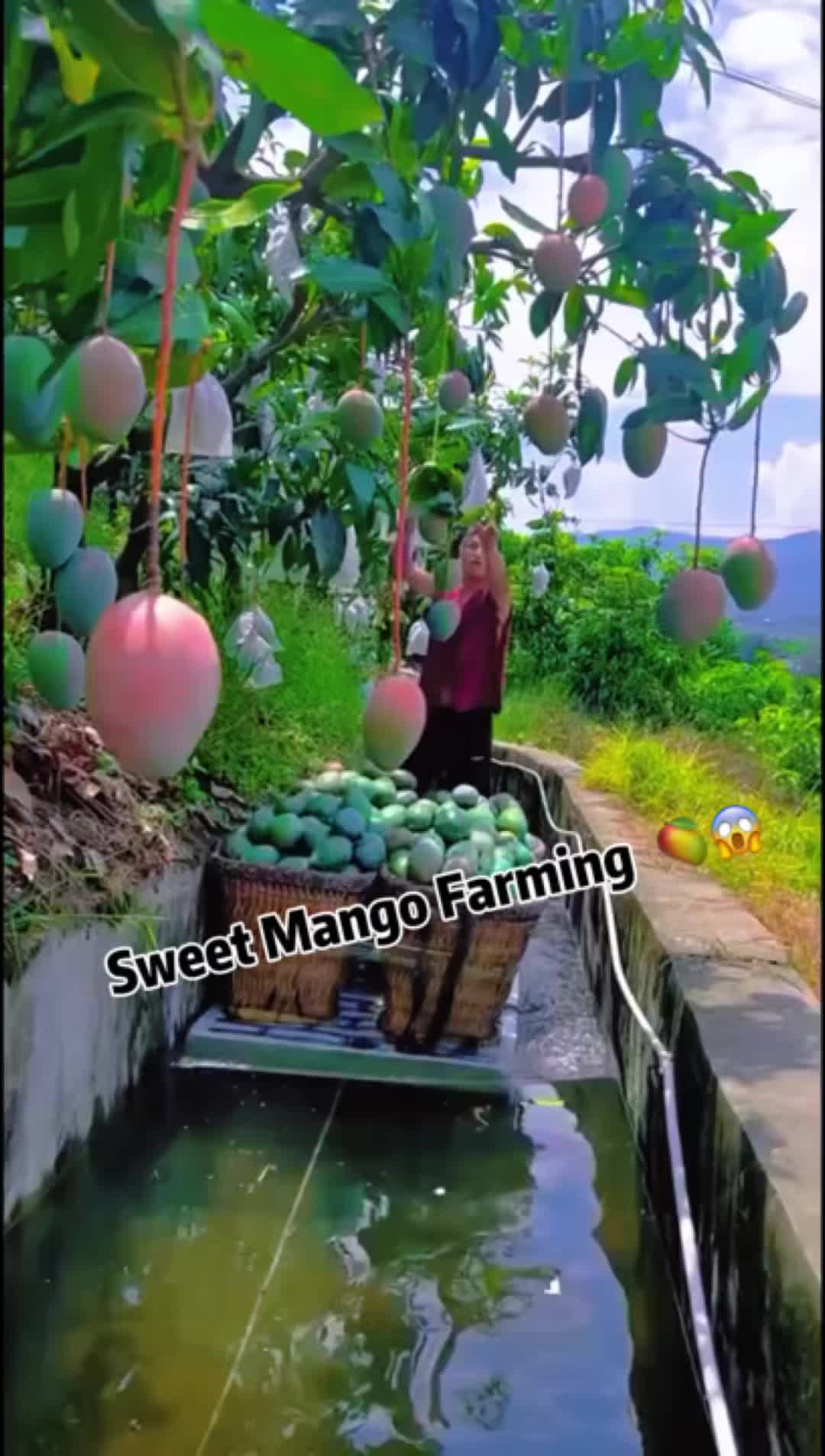 @Relaxing Delight