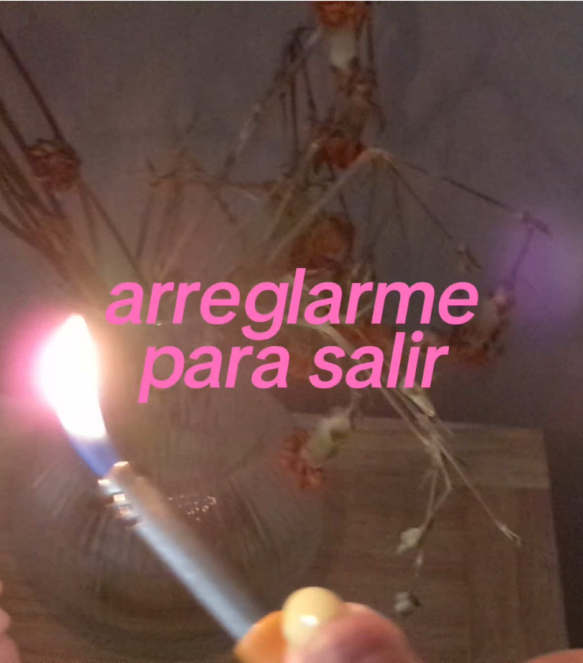 @laura ☆⋆ ˚｡⋆