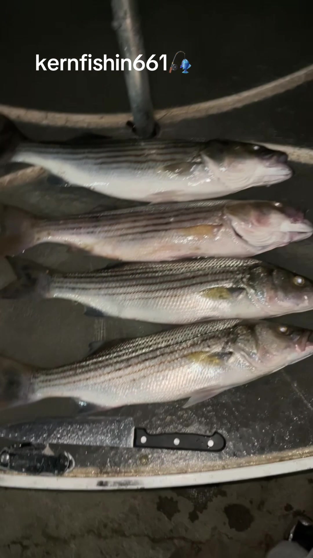@kernfishing661_