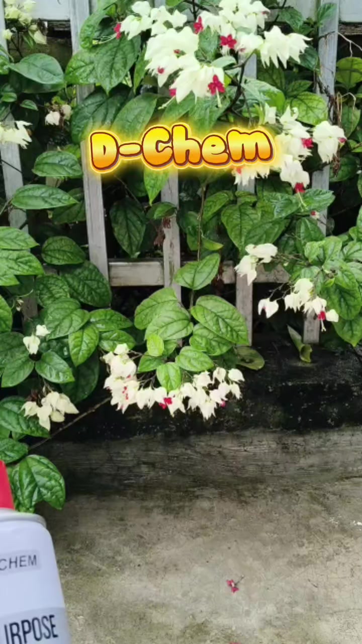 @Nguyễn Thiện Nhân