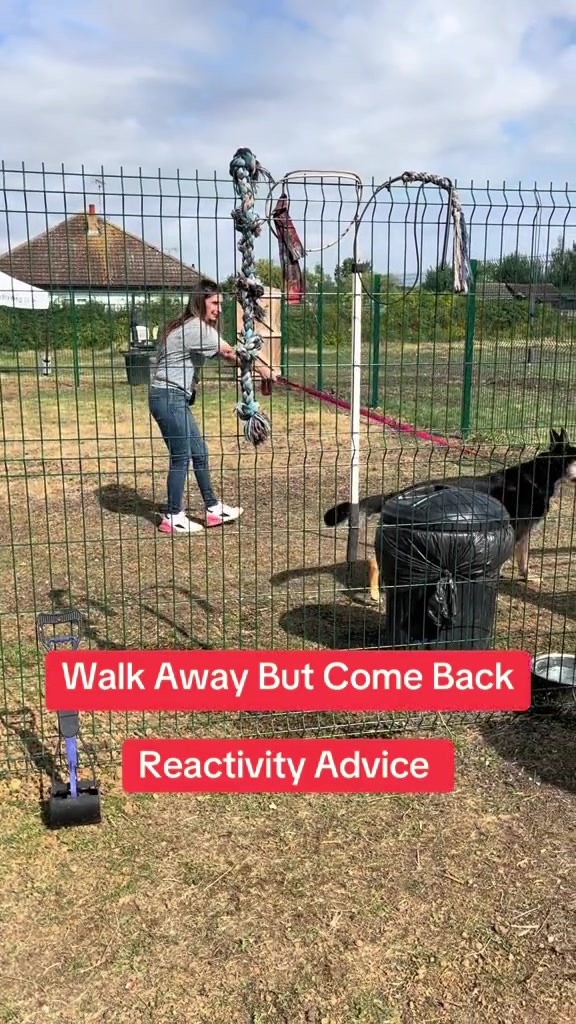 @SouthendDogTraining