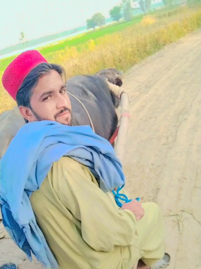 @⚔️🔥Ganda Bilal 🔥⚔️