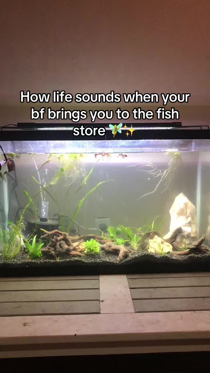 @Bayoub!tch