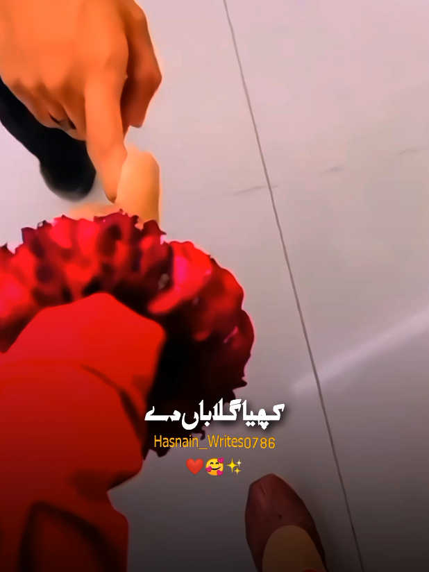 @Hasnain_Writes0786