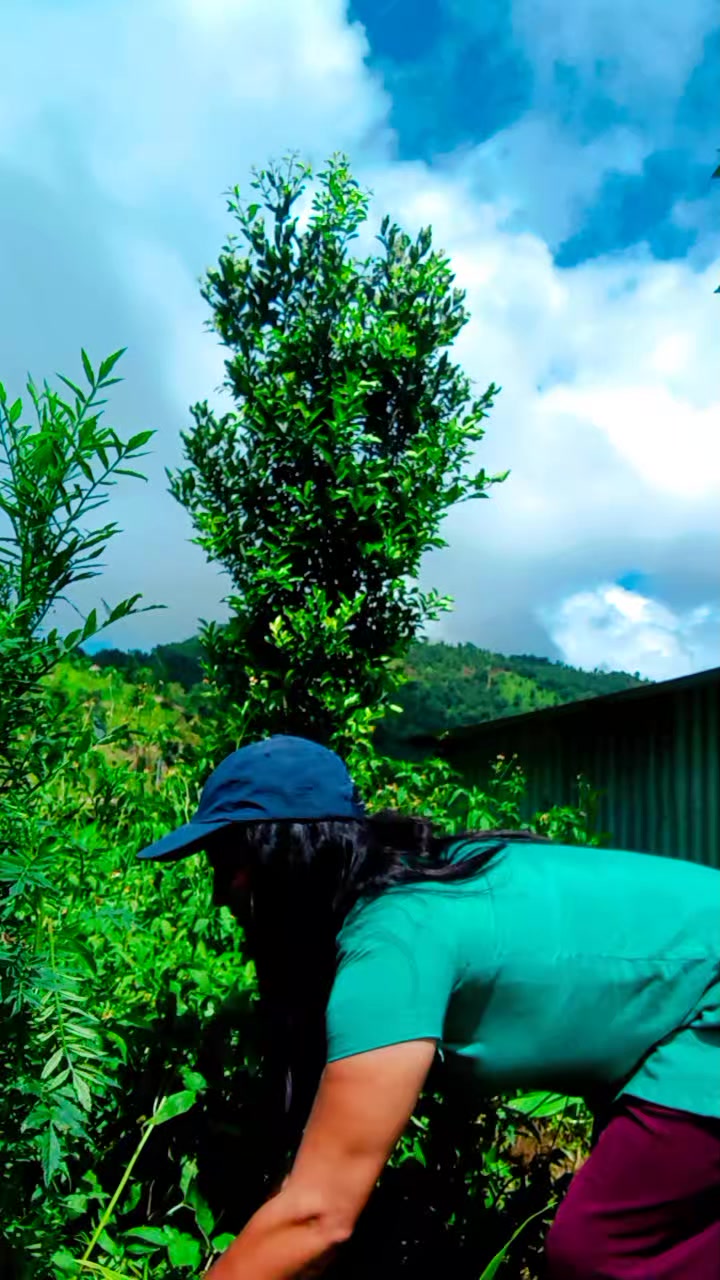 @Tr. Gita Dhakal