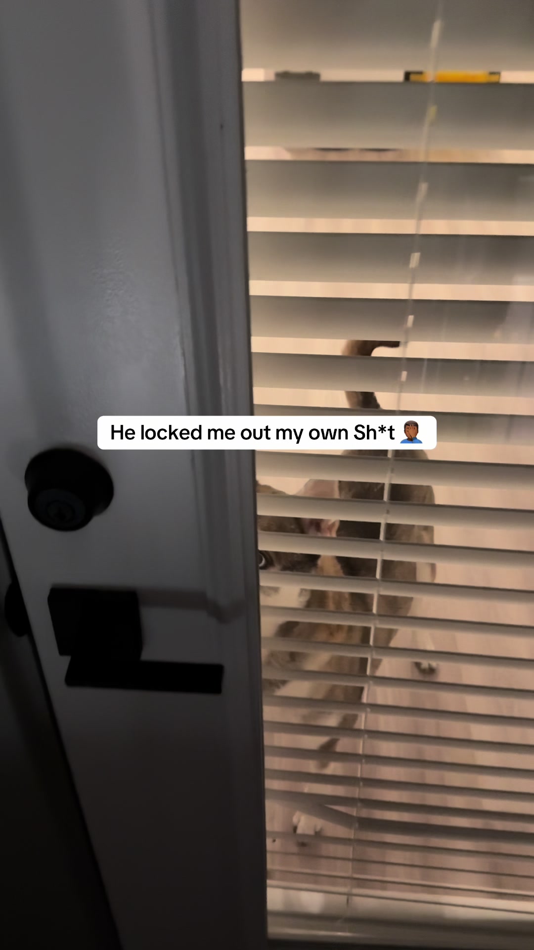@dbmoeski