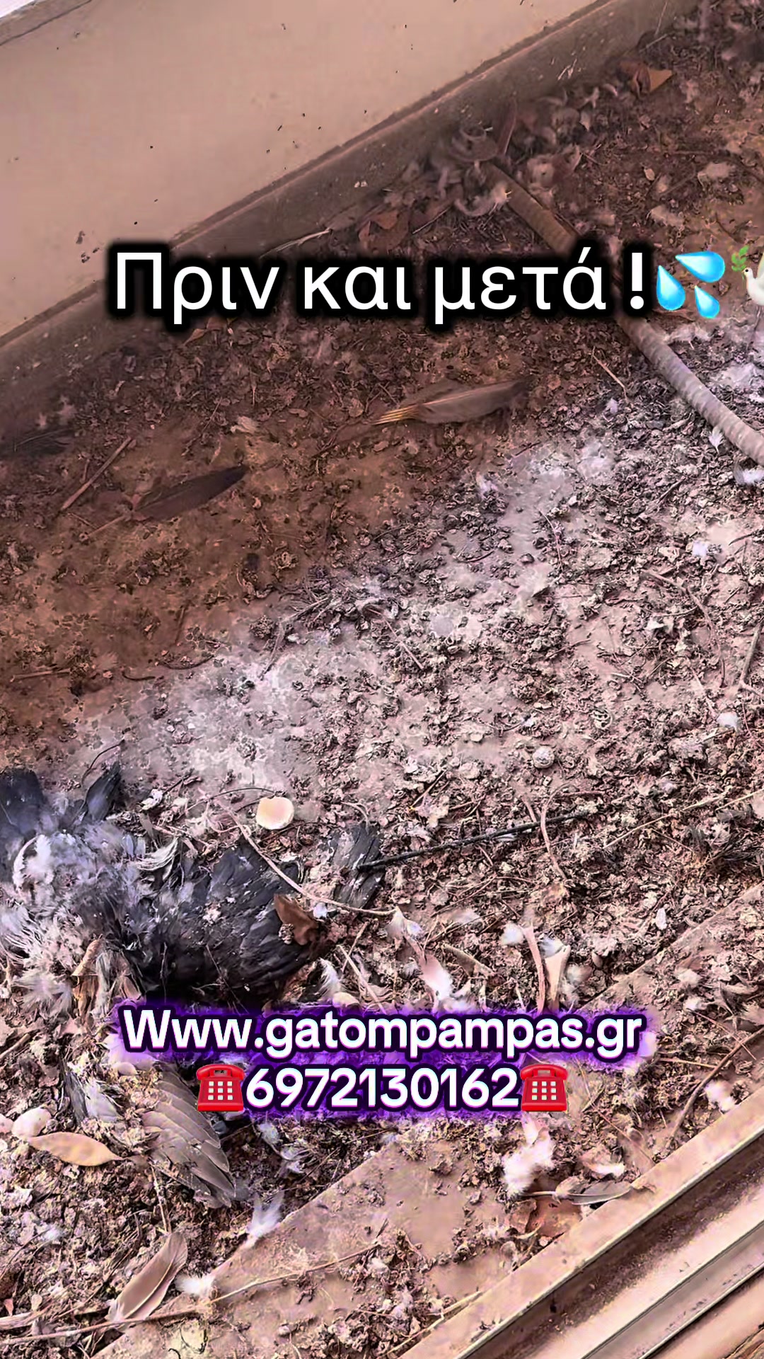 @GatompampasMastoras