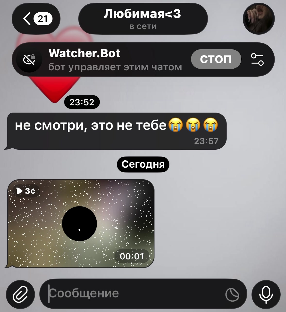 @Watcher.Bot