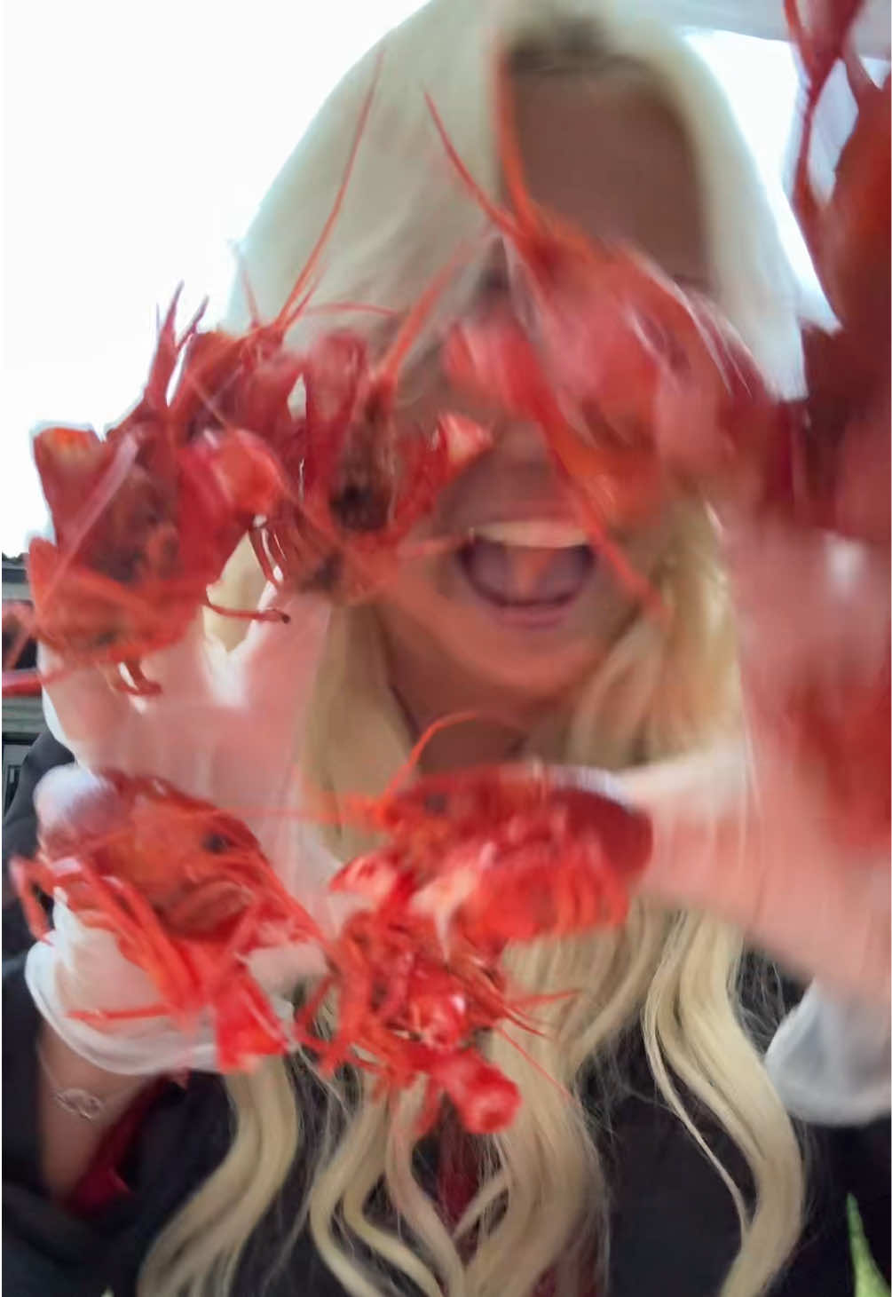 @Wilma Grönqvist
