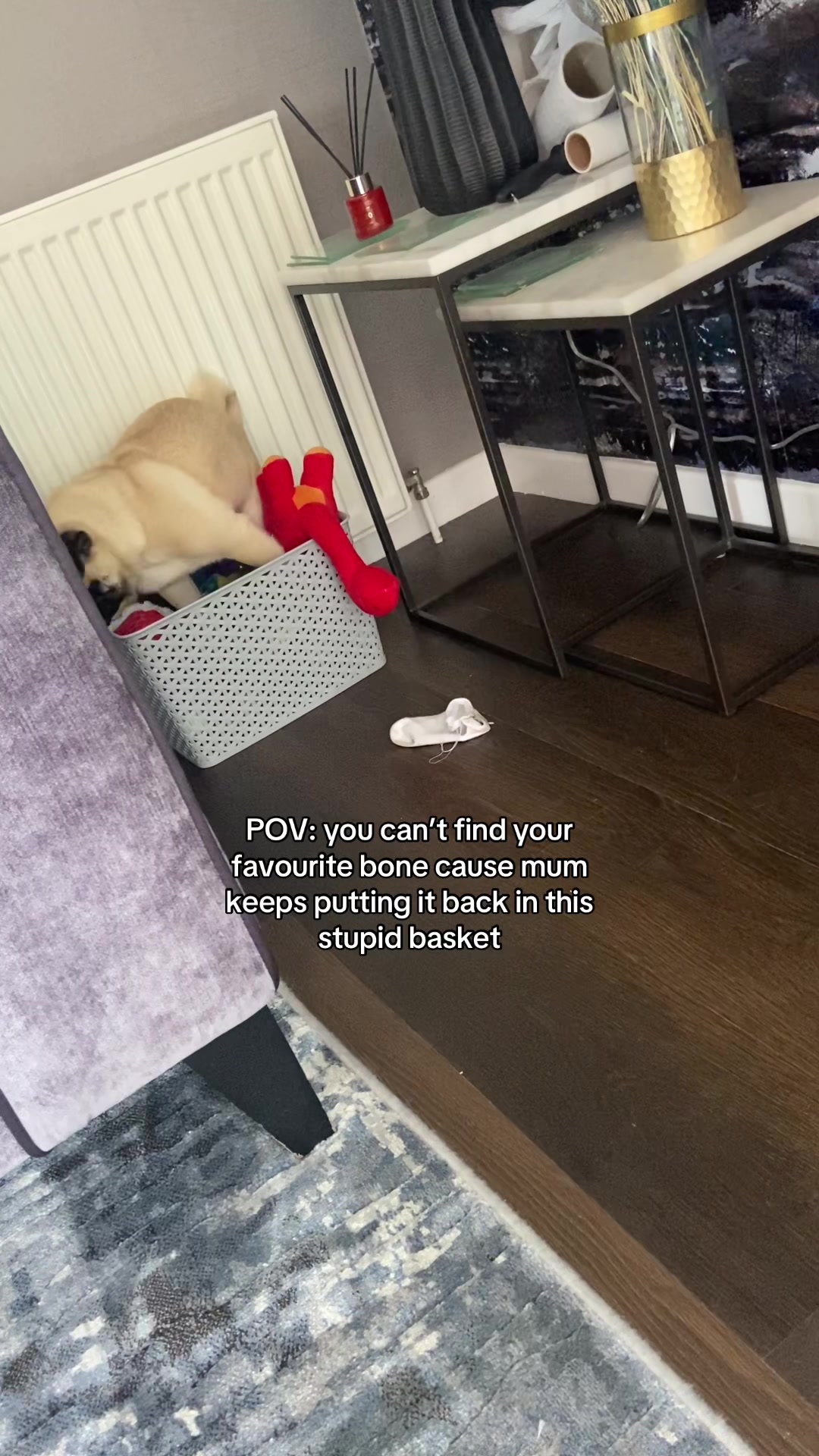 @Wee Winston The Pug