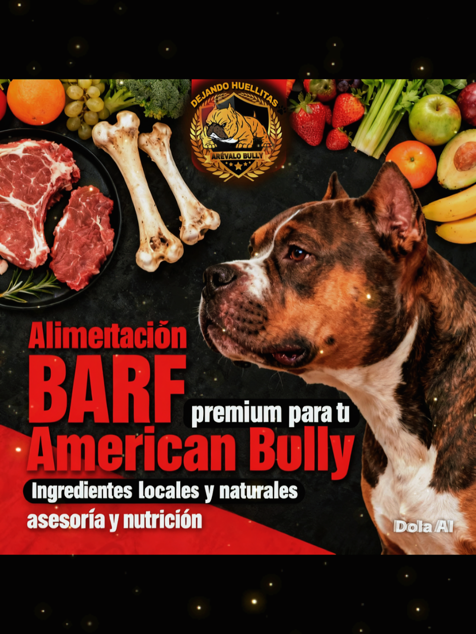 @arevalobullsper&uacute;