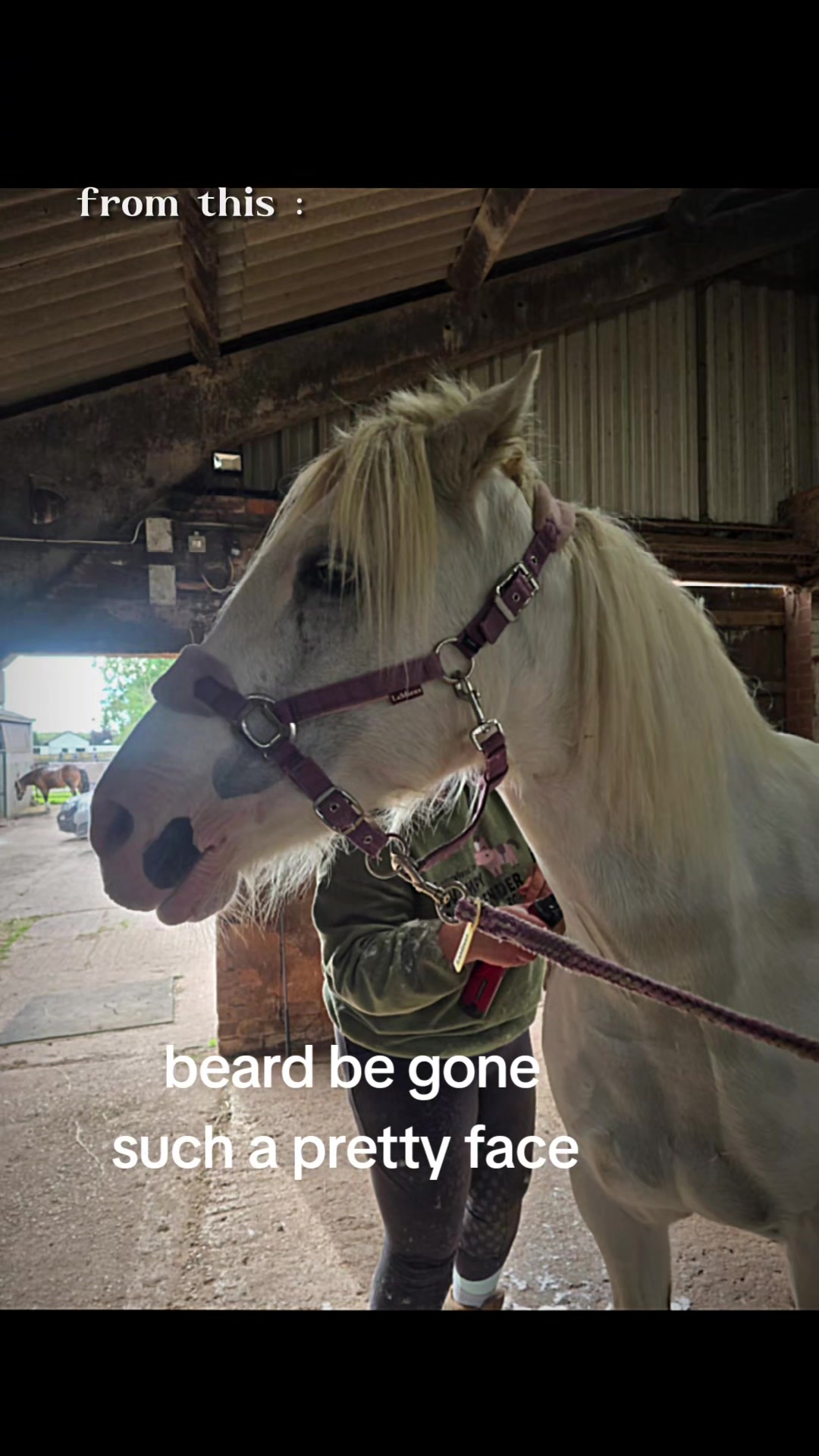 @ponymidlifecrisis