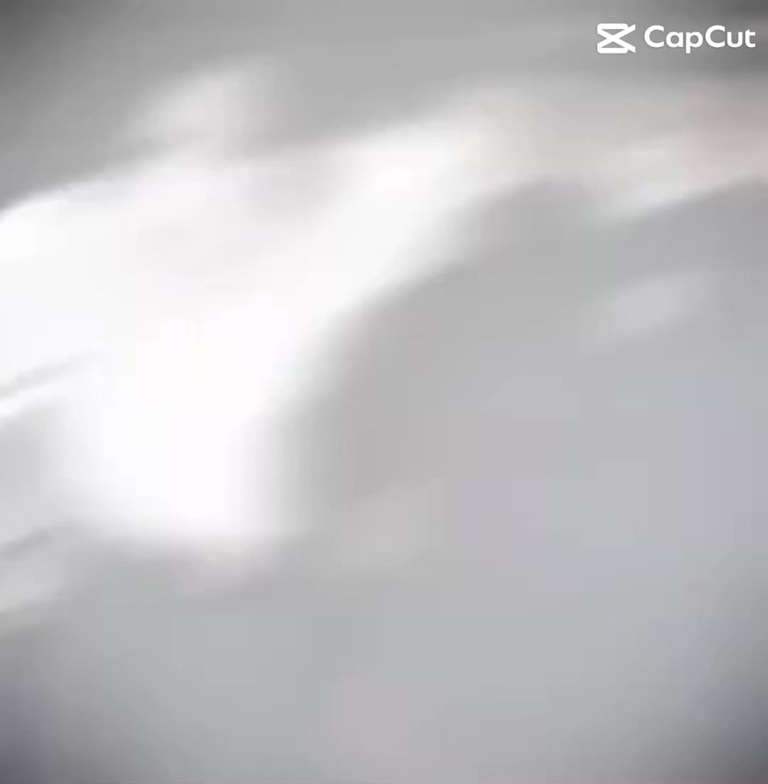 @LLJW LLXX🕊️🕊️🕊️