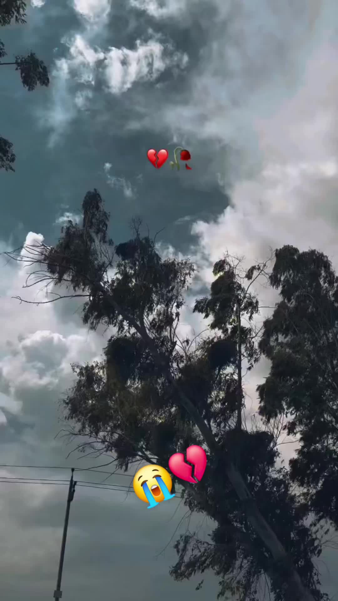 @13_bad_boy001