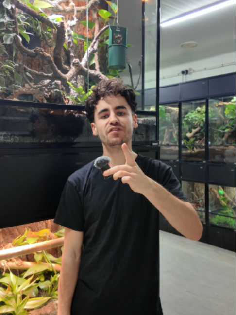 @prorep_reptile