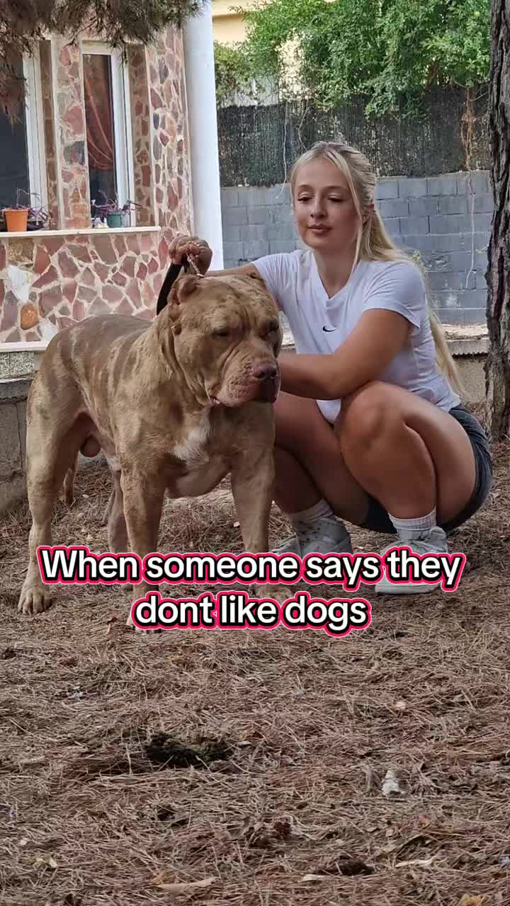 @bullyranchespania