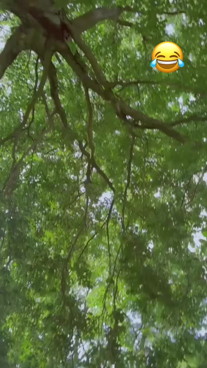 @Mahiar.s
