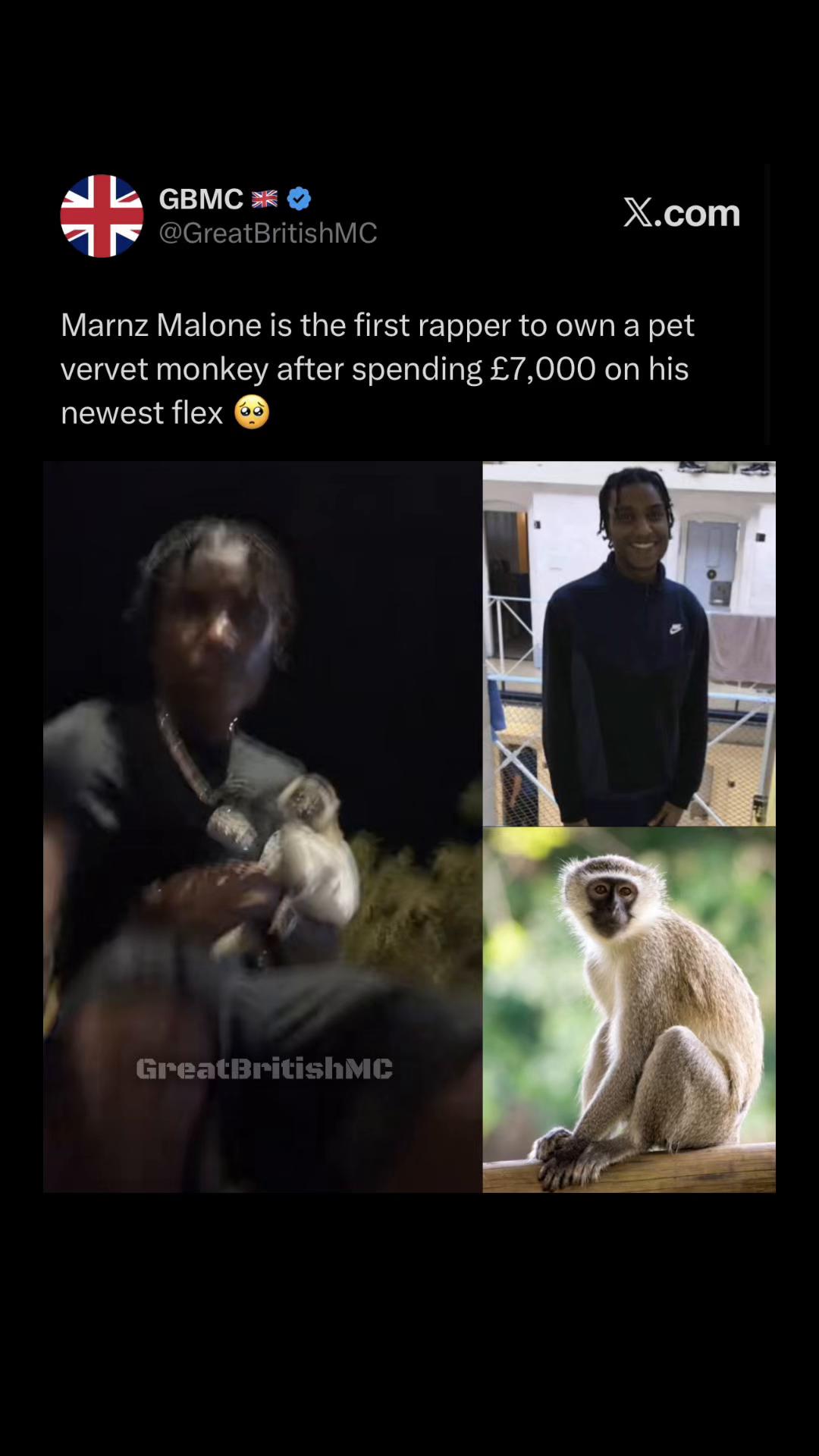 @GBMC 🇬🇧