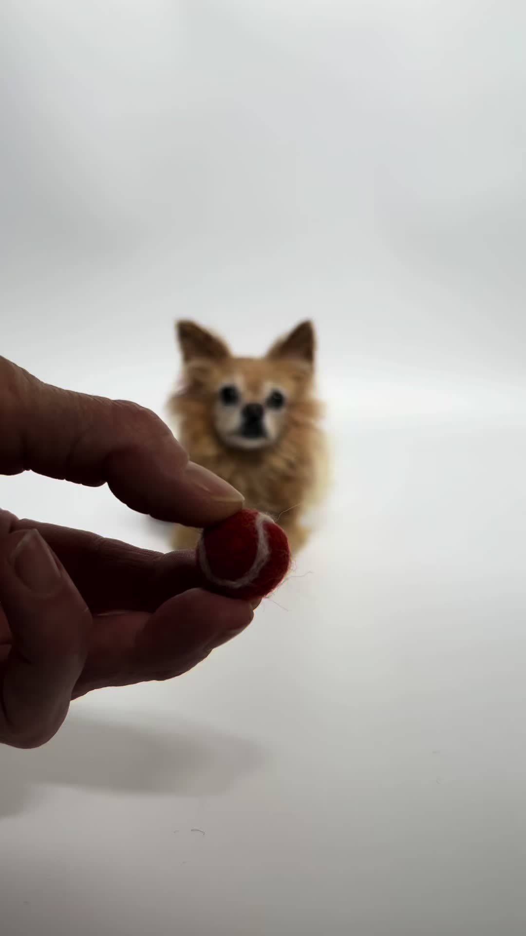 @FlyByFeltstiktok