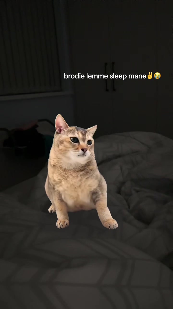 @☬