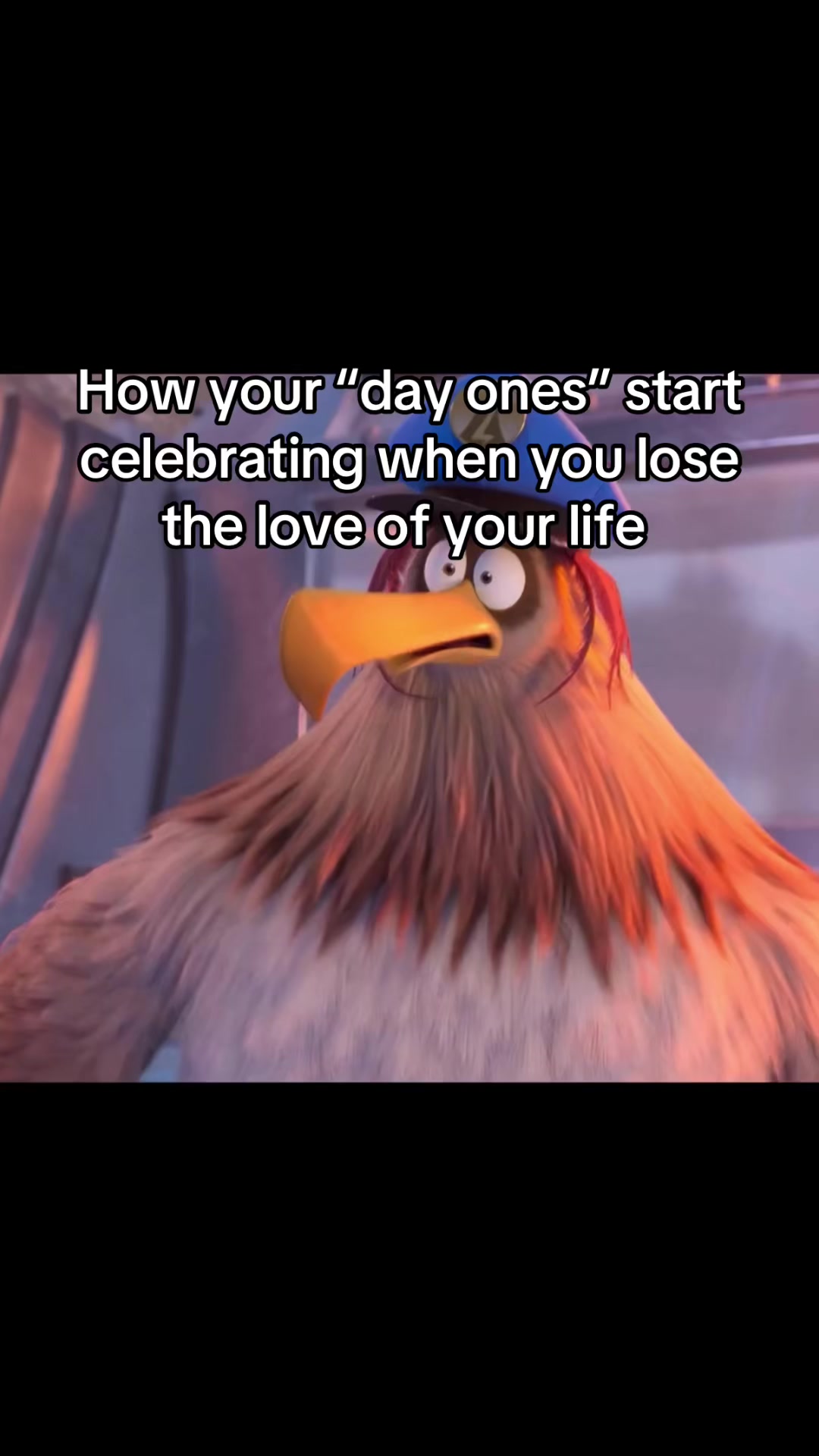 @welovesqooq
