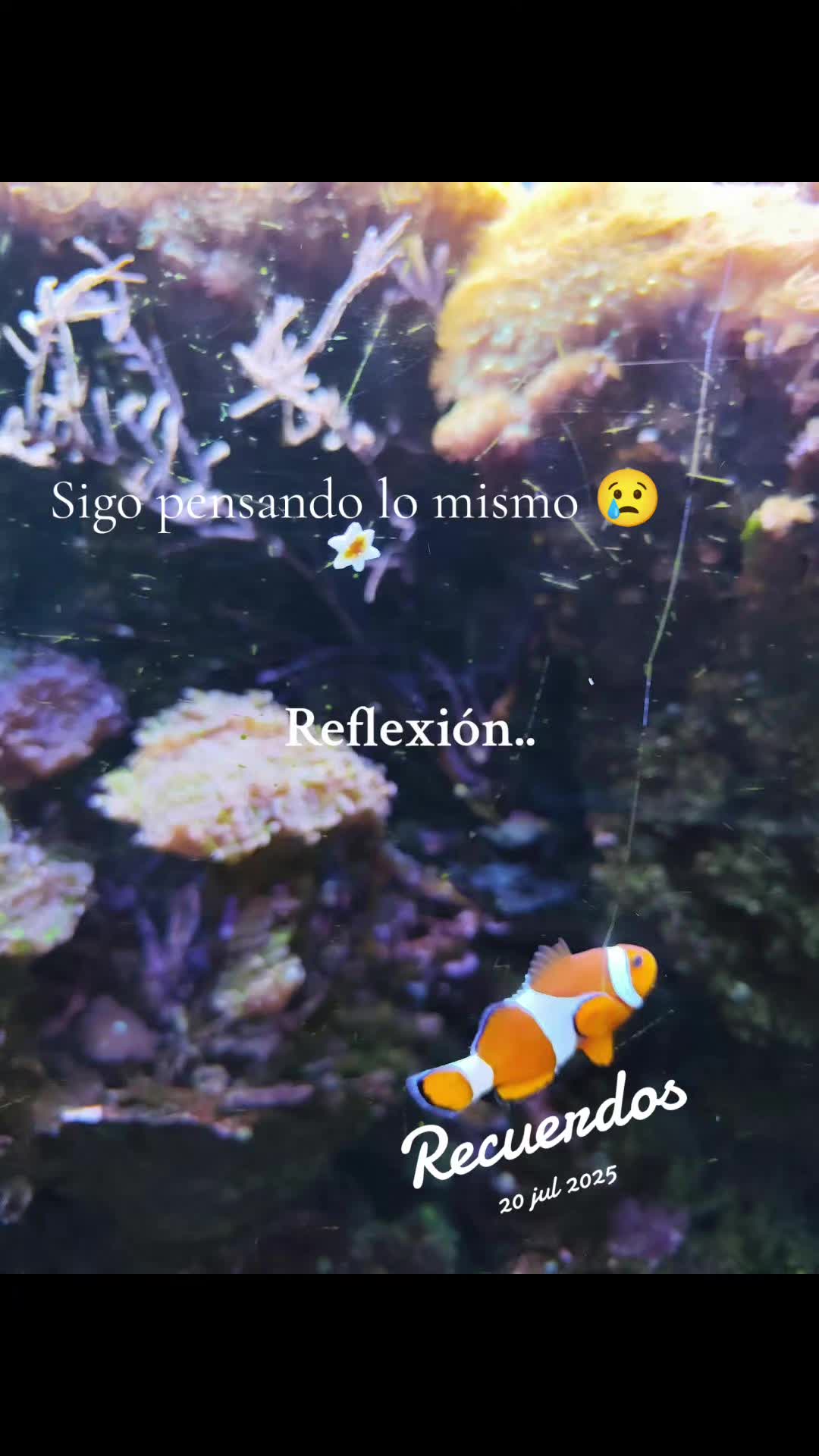 @Alda