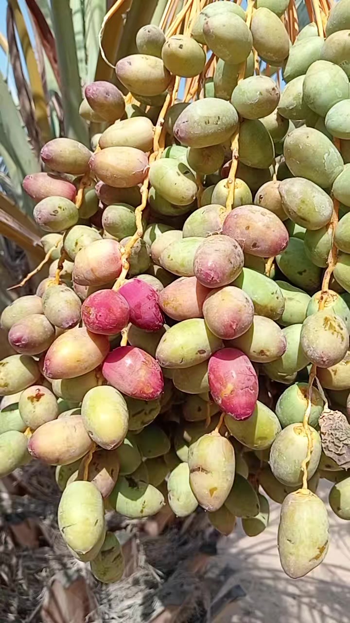 @আমিহীন দুনিয়া 😥😥😥☝️☝️000
