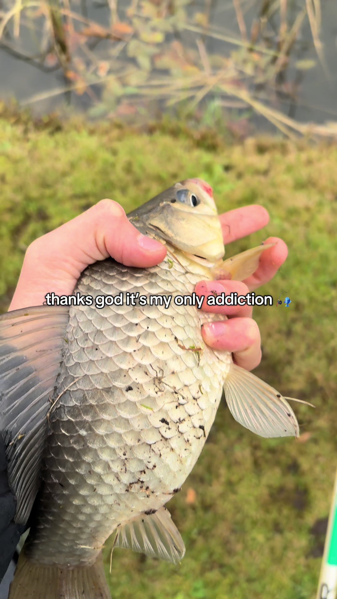 @Fishing With Alekss 🎣💎
