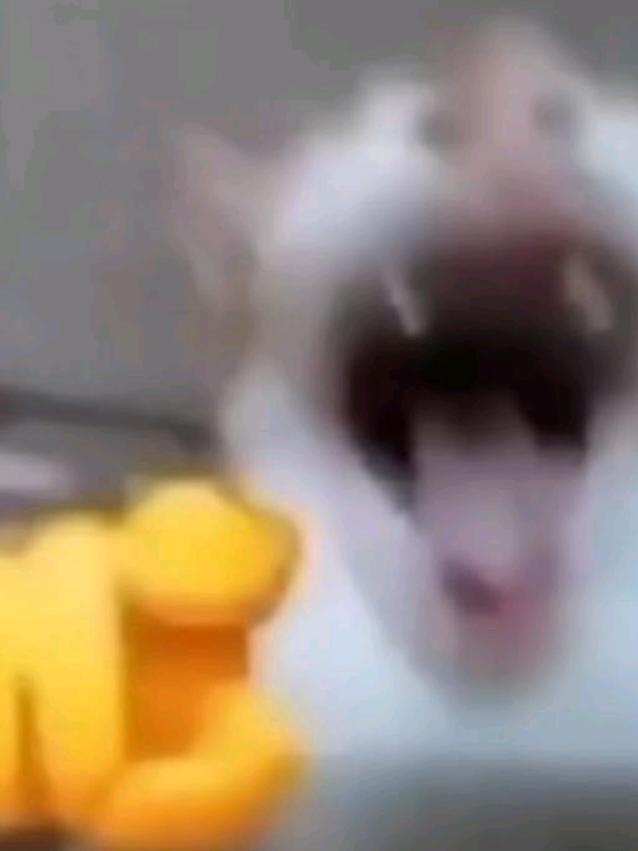 @~♪&bull;♫&deg;𝔸𝕟𝕕𝕣𝕖𝕨&deg;♫&bull;♪~