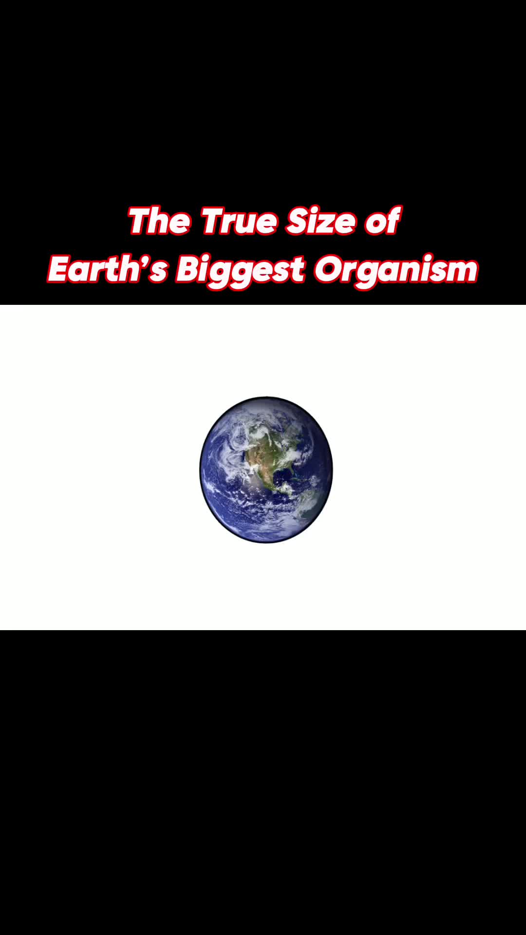 @TIME FOR EXPLANATION ⏳✔️