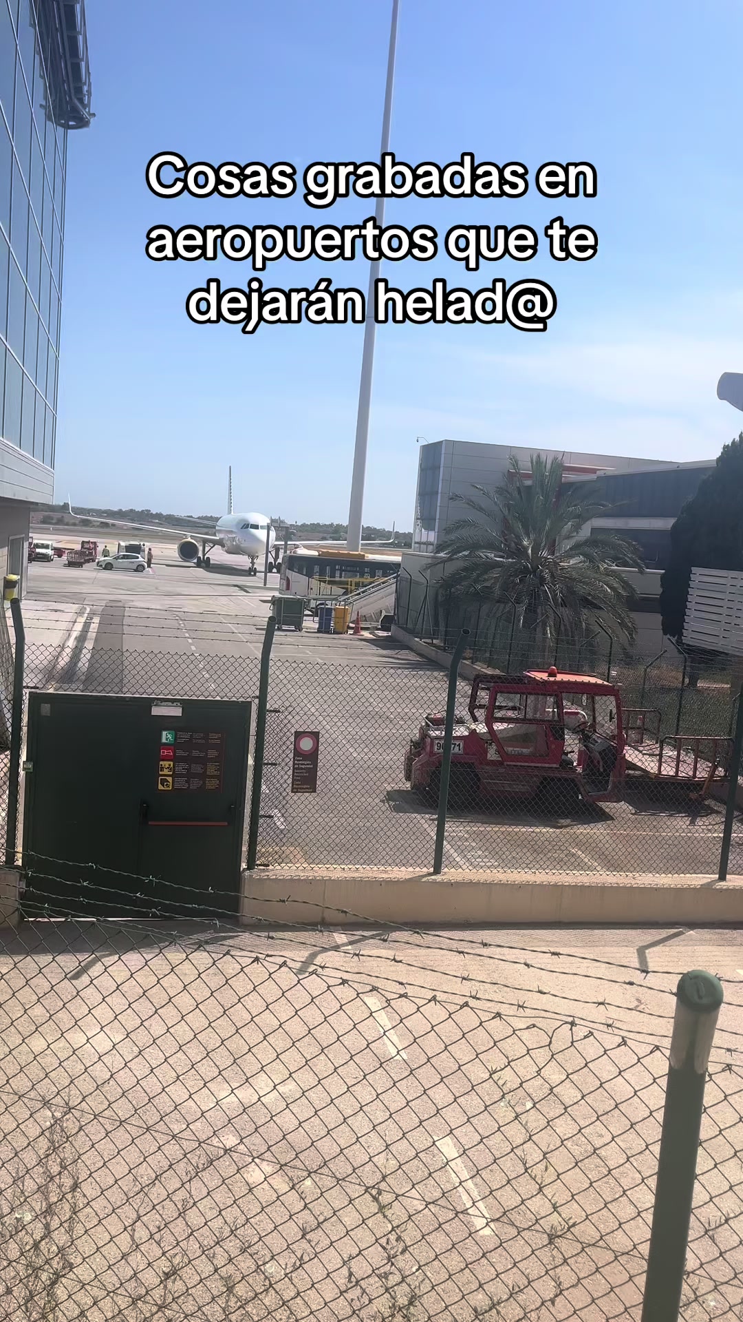 @CURIOSIDADES