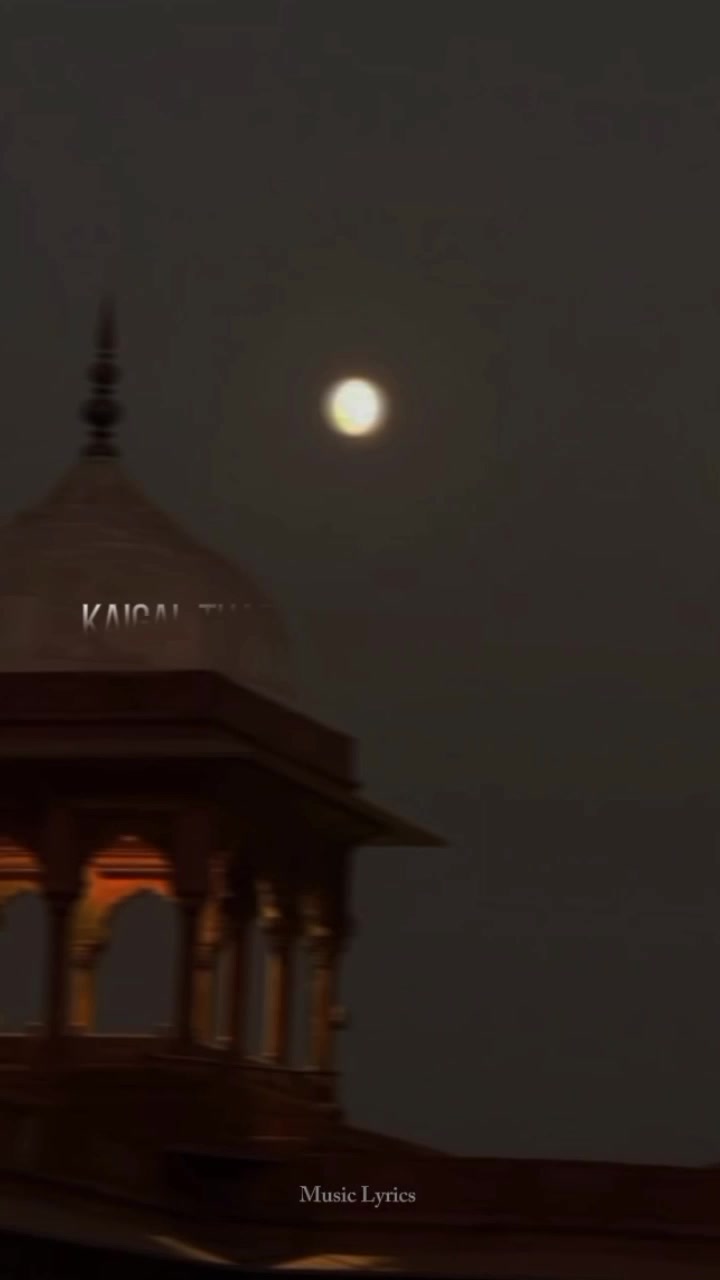 @ᴍᴜꜱɪᴄ ʟʏʀɪᴄꜱ