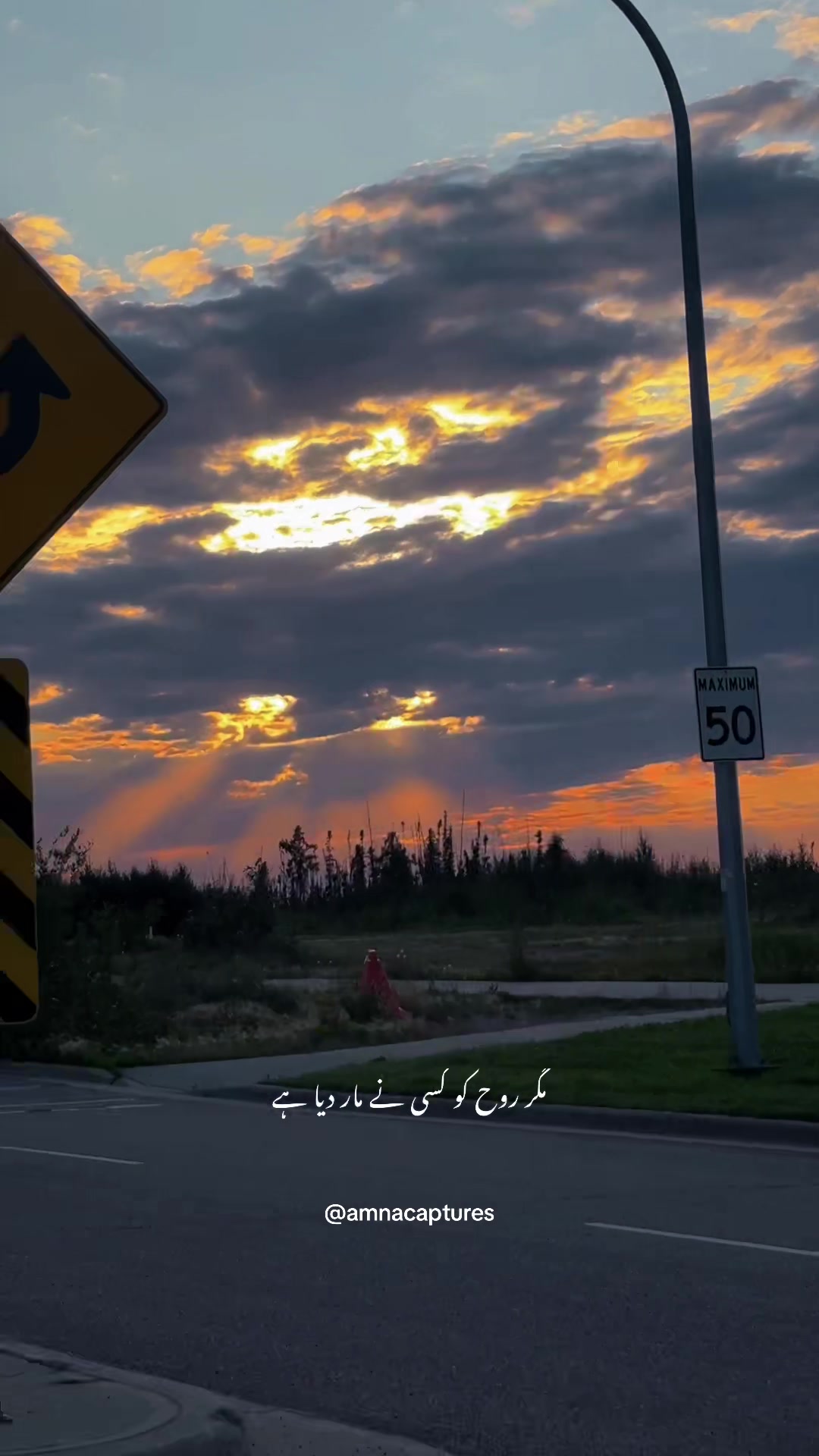 @Nature lover 🇨🇦