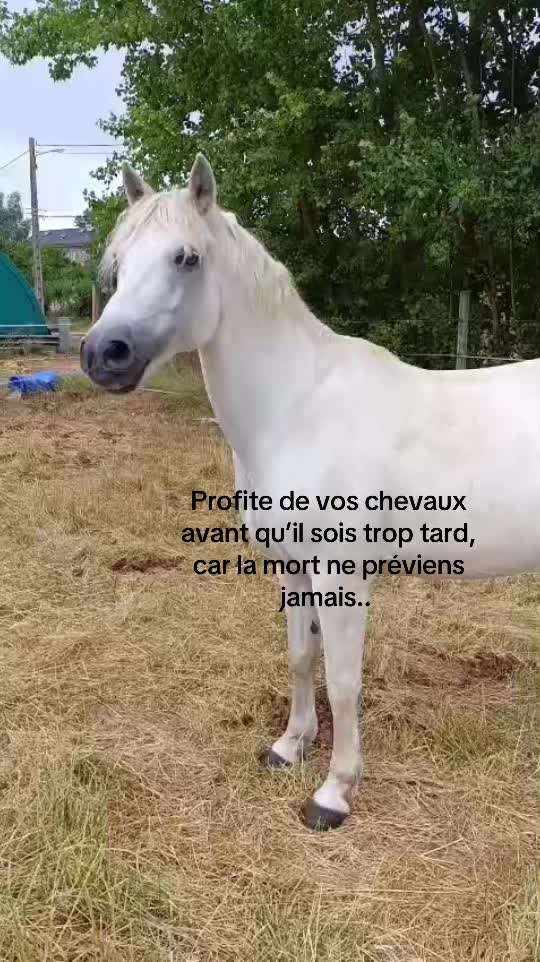 @Thélia
