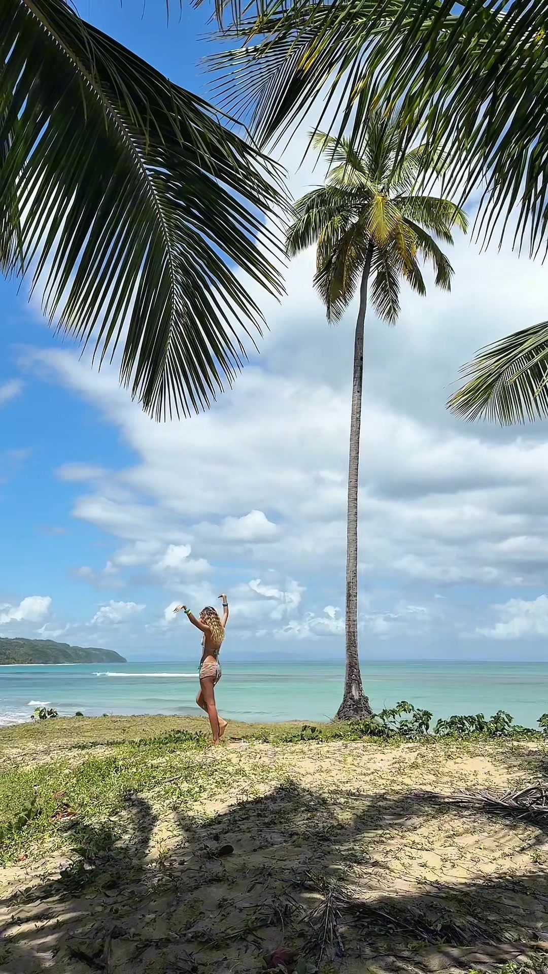 @Musera
