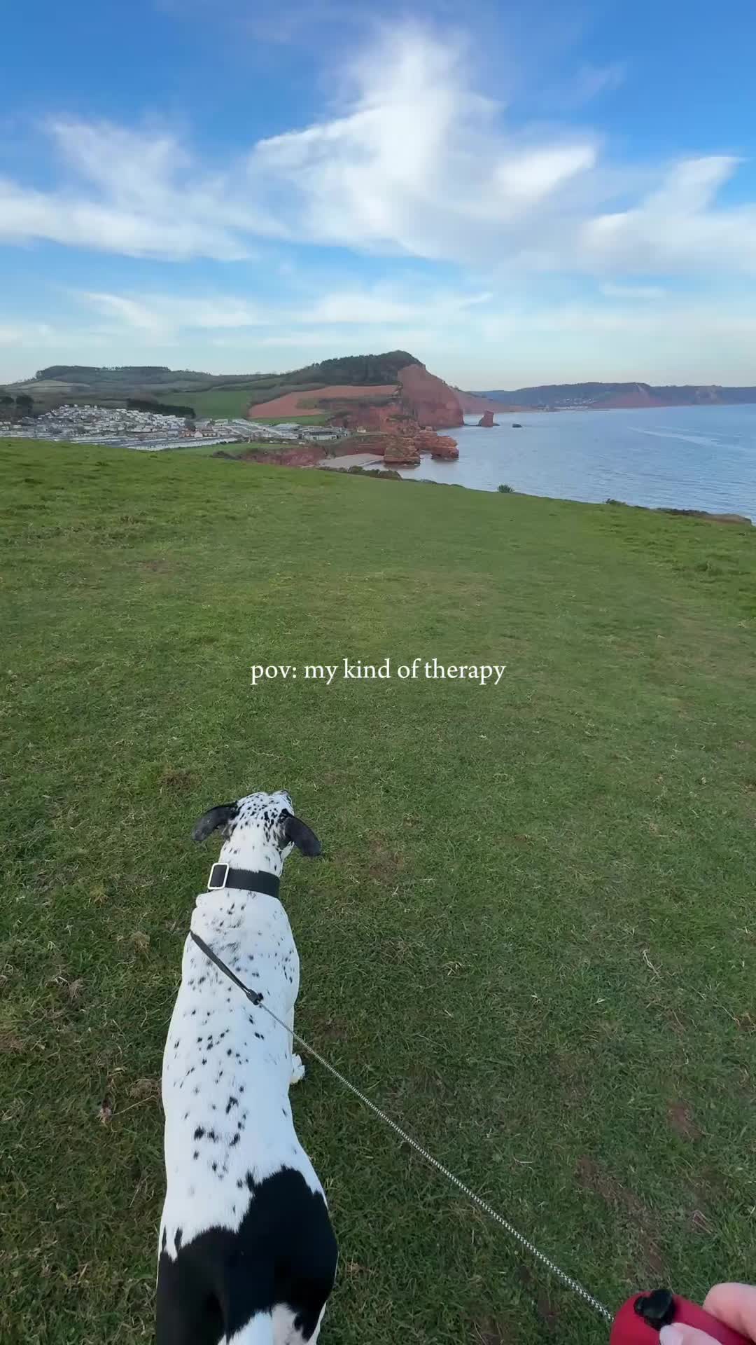 @spottybonnie