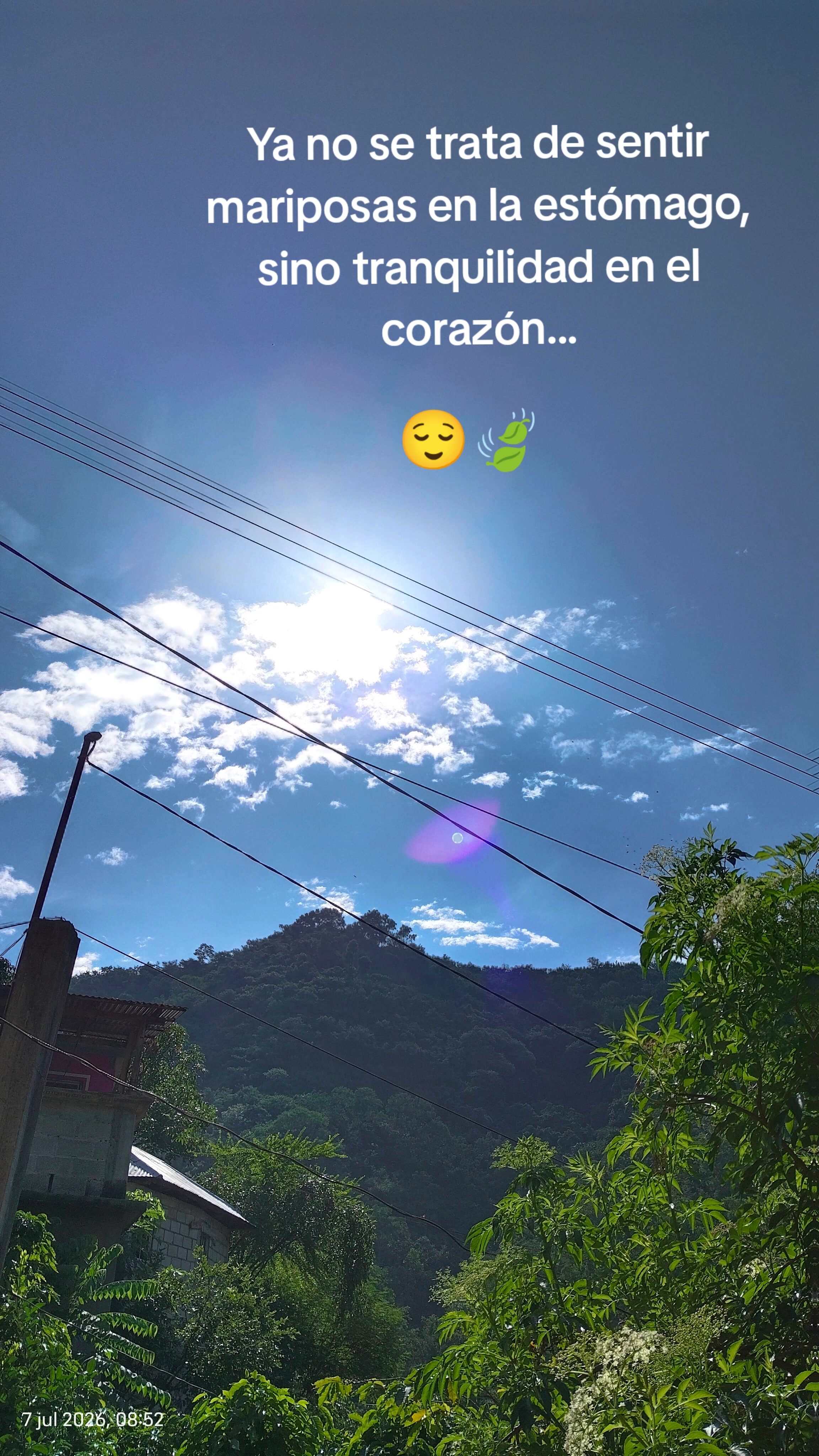 @꧁𓇼𝑨𝒏𝒚 𓆉༆