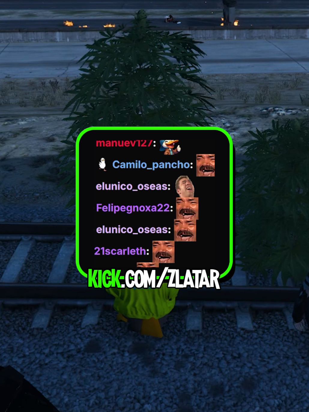 @Zlatar
