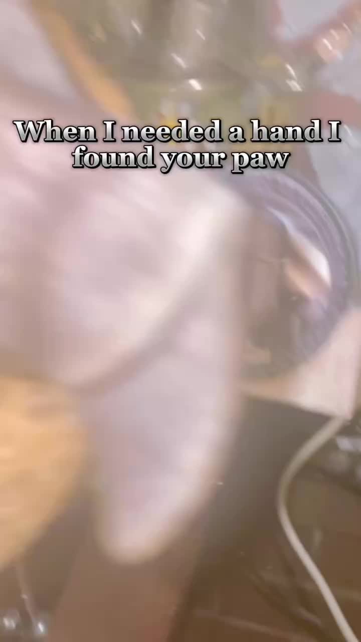 @Kaitlyn Rose