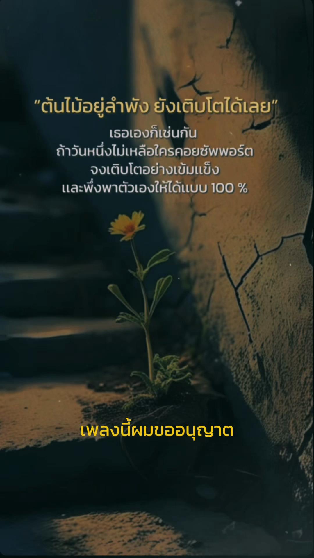 @ความสุขระหว่างก้าว 🤍🤍